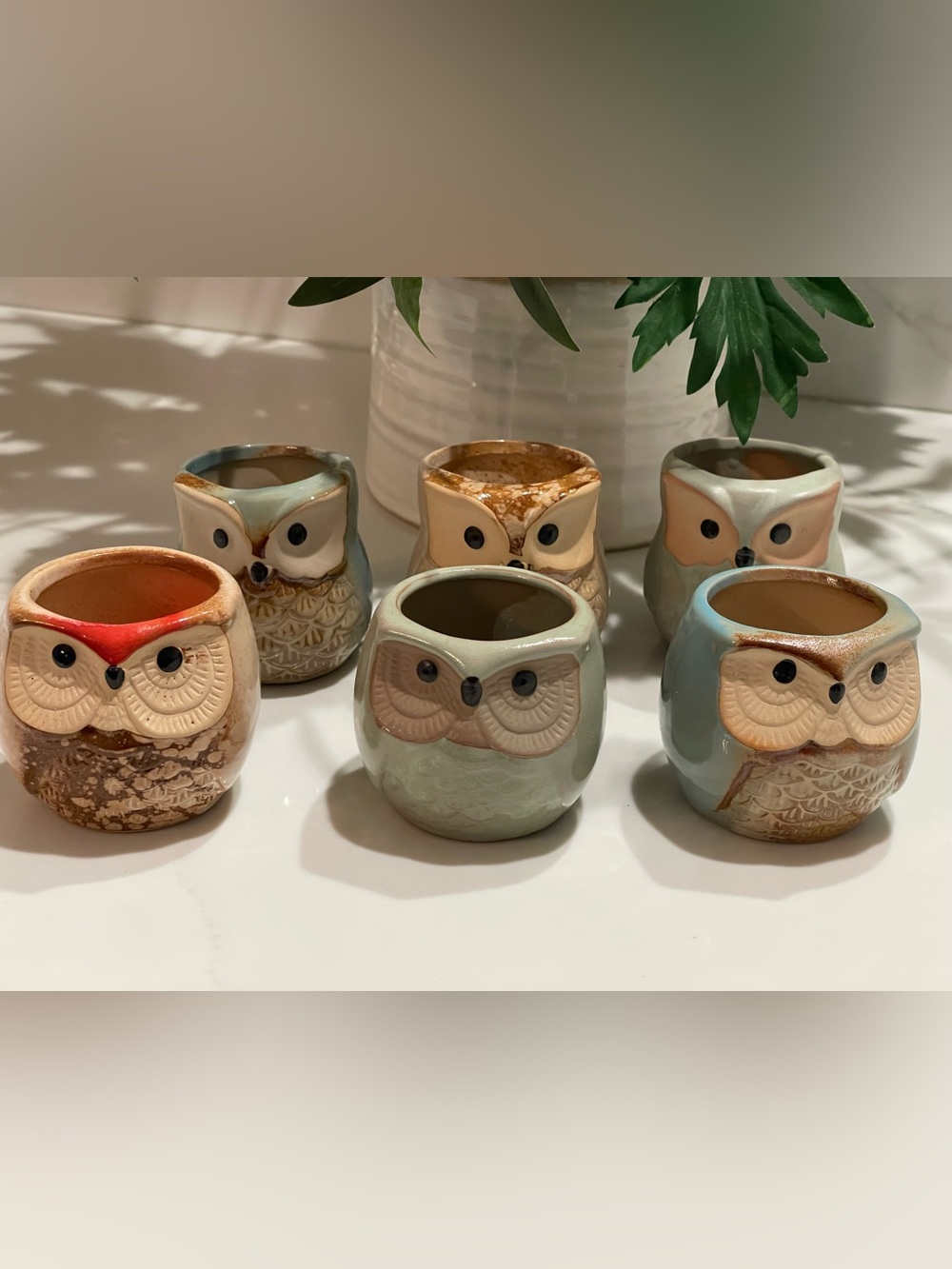 Owl Succulent Plants Ceramic Mini Planter Flowerpot 2.25" 6 Piece Bundle Set